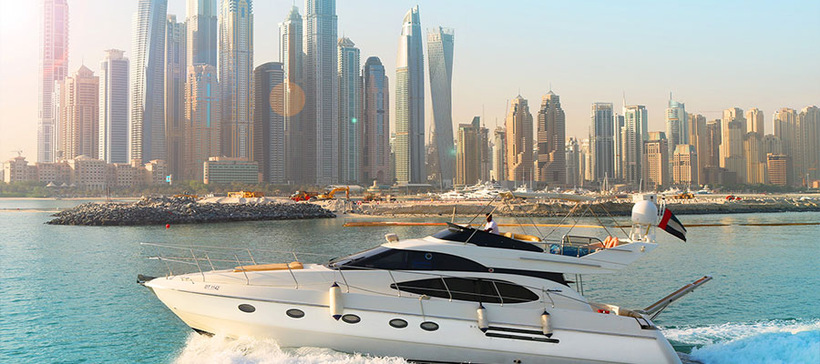 Cruise_img