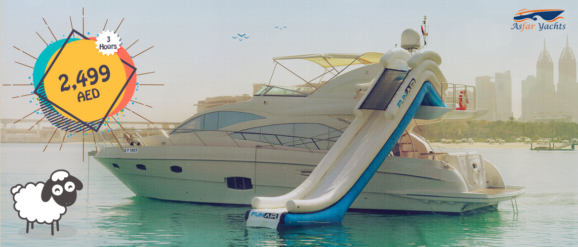 Cruise_img