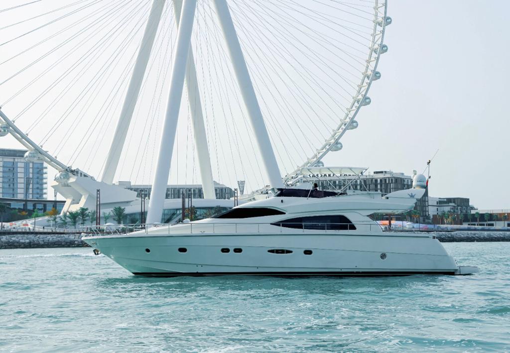 DOMINATOR 66FT Back